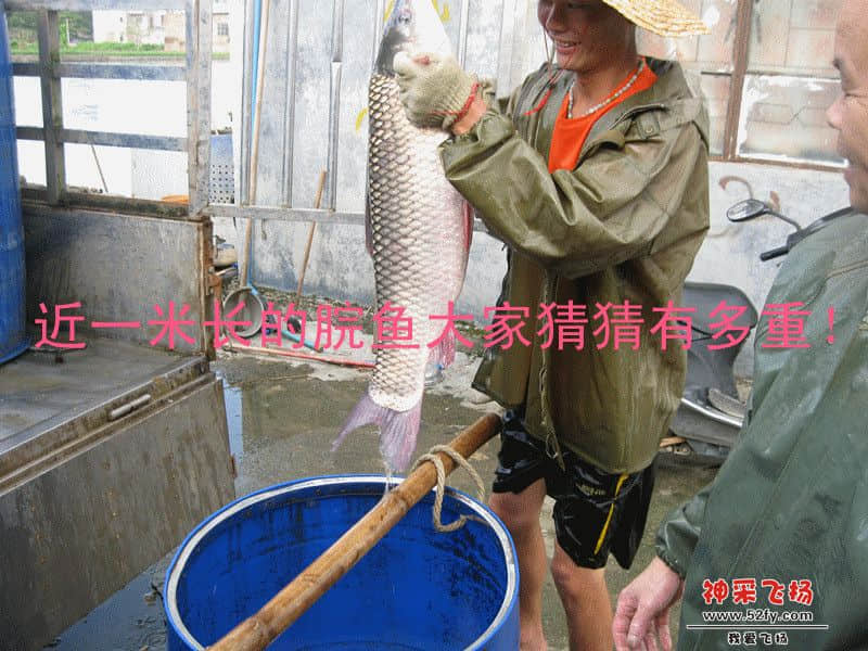 IMG_1514_副本_副本.jpg