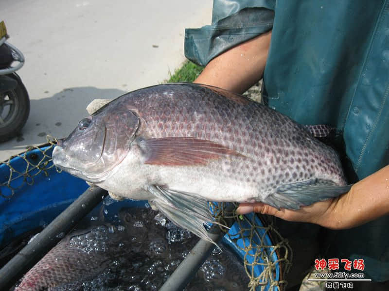 IMG_1518_副本.jpg
