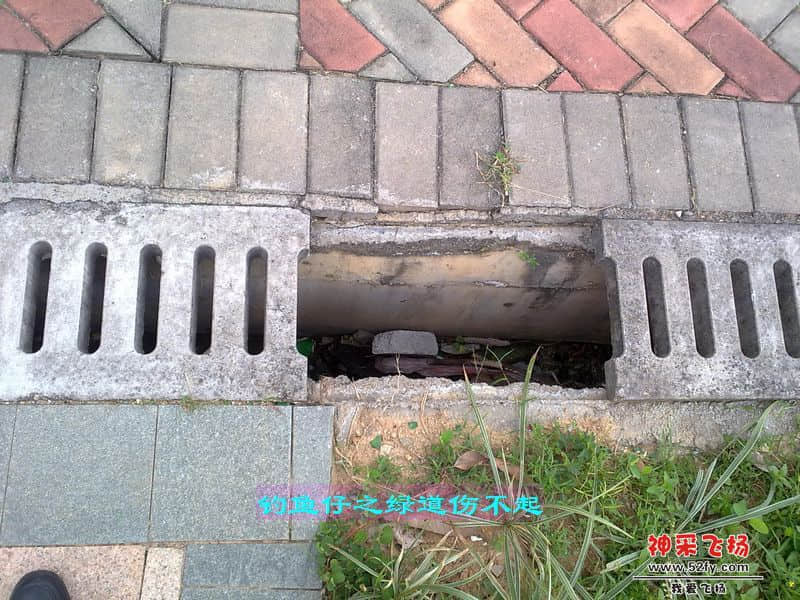 nEO_IMG_201207111702.jpg