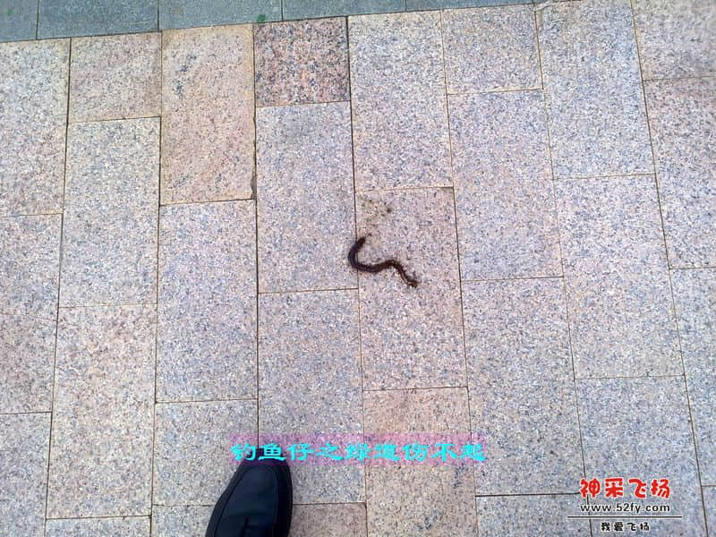 nEO_IMG_201207111705.jpg