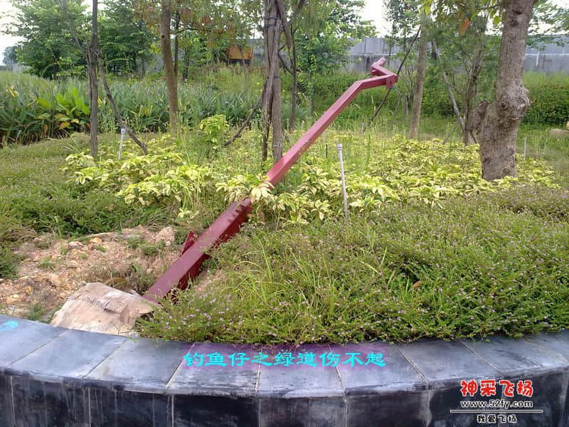 nEO_IMG_201207111710.jpg