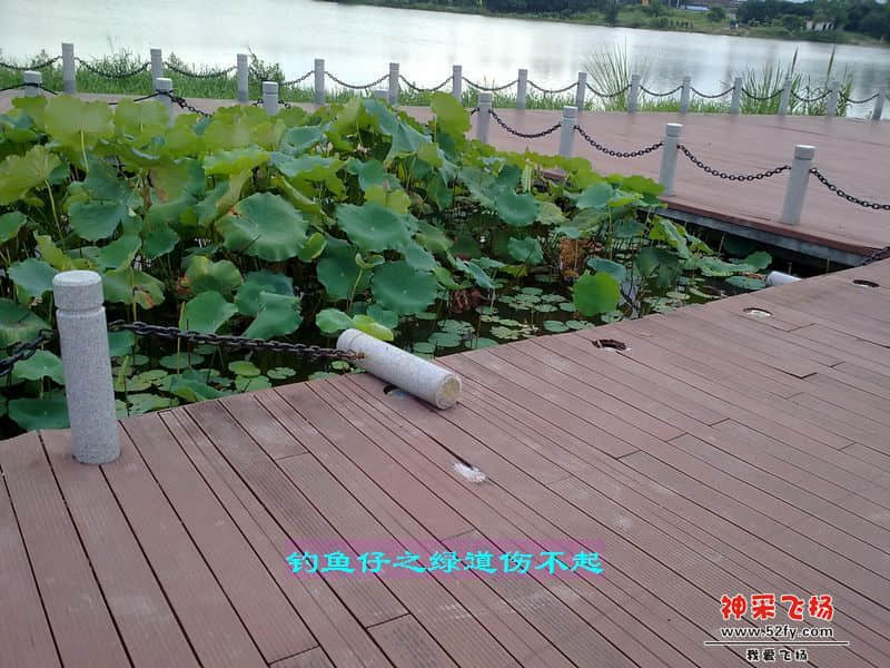 nEO_IMG_201207111712.jpg