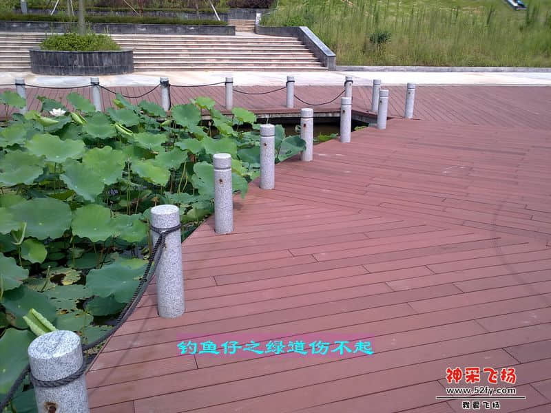nEO_IMG_201207111715.jpg
