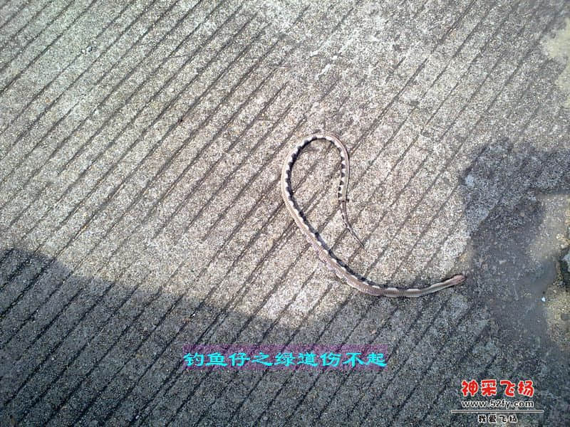 nEO_IMG_201207111729.jpg