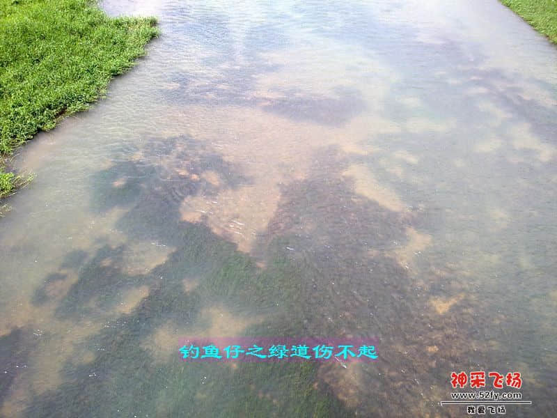 nEO_IMG_201207111732.jpg