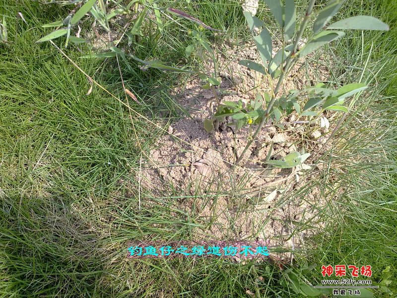 nEO_IMG_201207111734.jpg