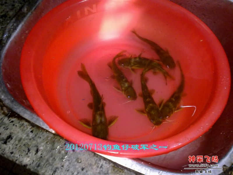 nEO_IMG_201207131748.jpg