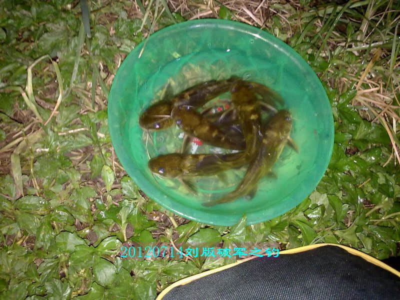 nEO_IMG_201207141751.jpg