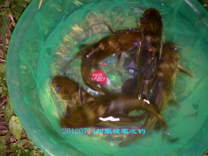 nEO_IMG_201207141752.jpg