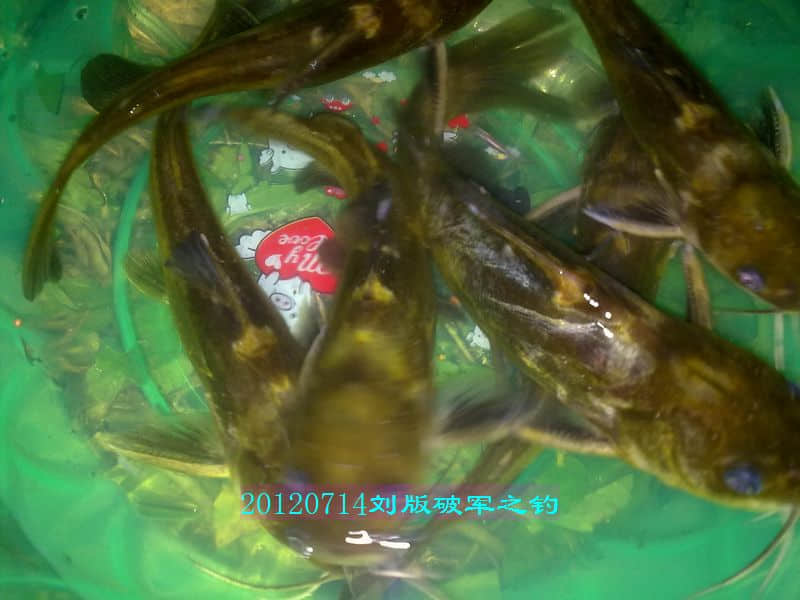 nEO_IMG_201207141753.jpg