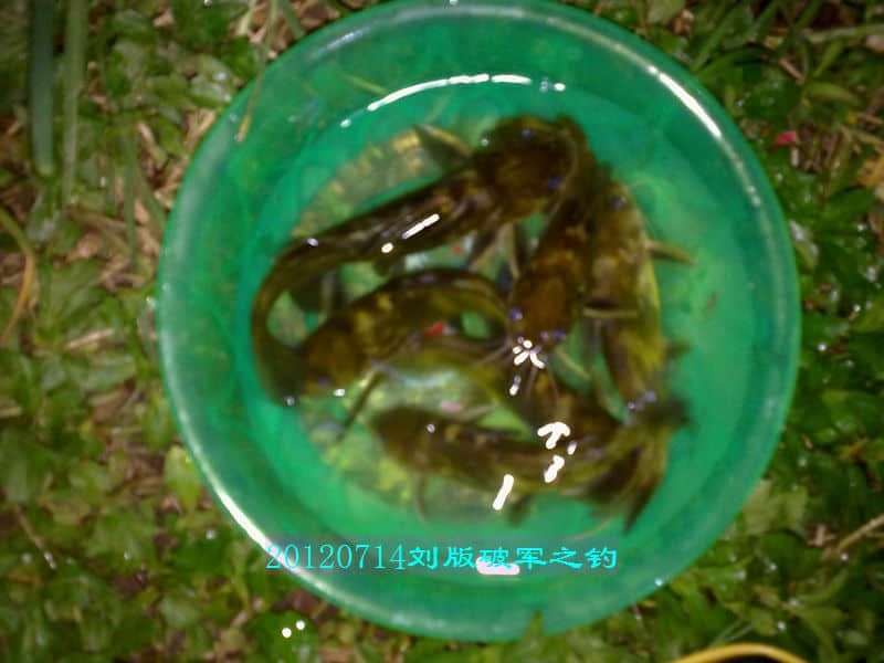 nEO_IMG_201207141754.jpg