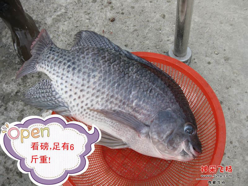 看磅--足6斤.jpg