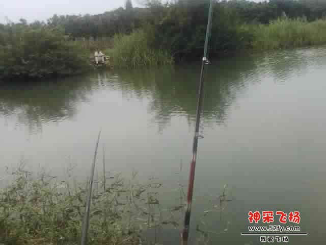 SPM_A0599.jpg