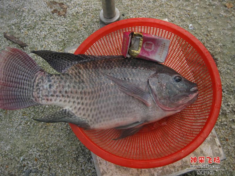IMG_1554_副本.jpg