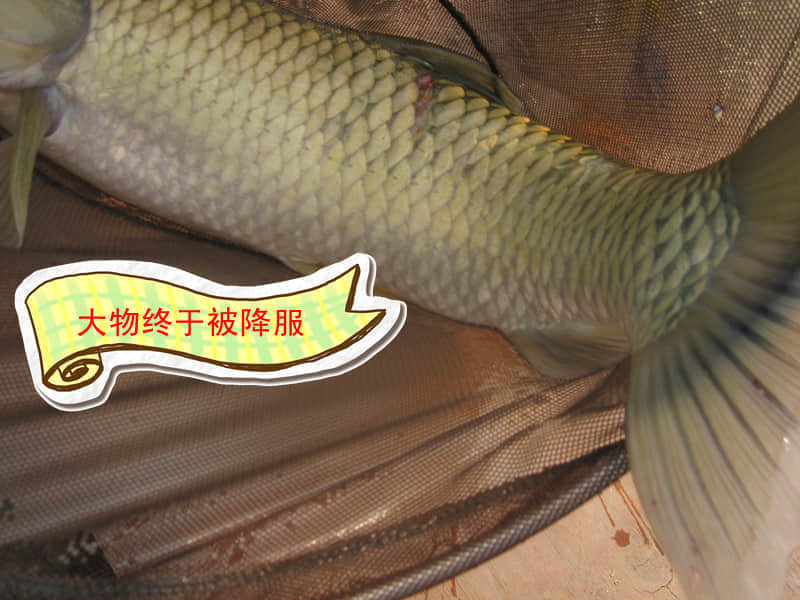 IMG_1577_副本.jpg