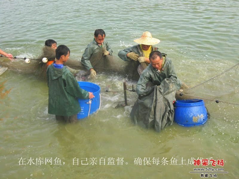 IMG_1590_副本.jpg