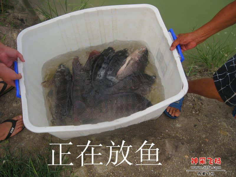 IMG_1595_副本.jpg