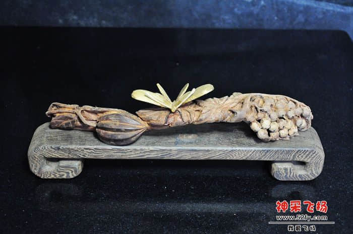 照片 423.jpg