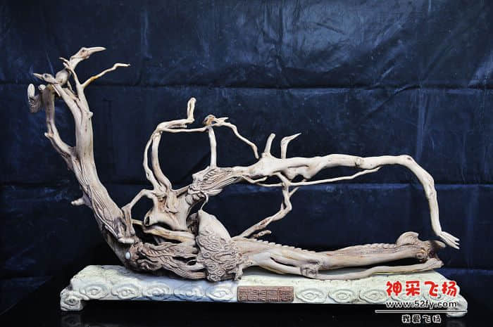 照片 443.jpg