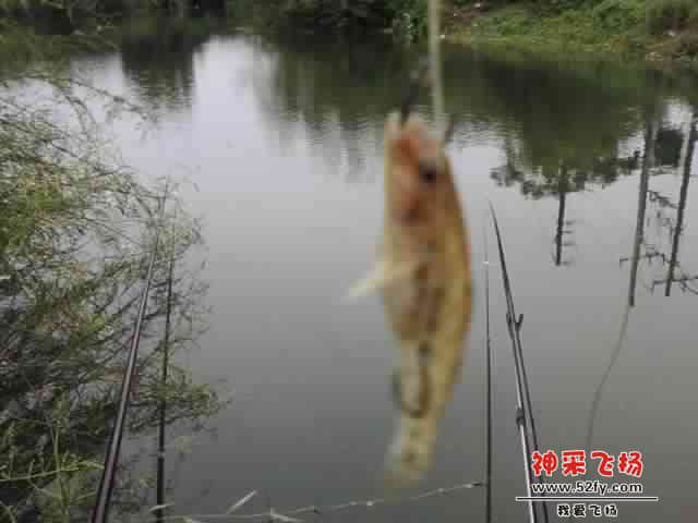 SPM_A0609.jpg