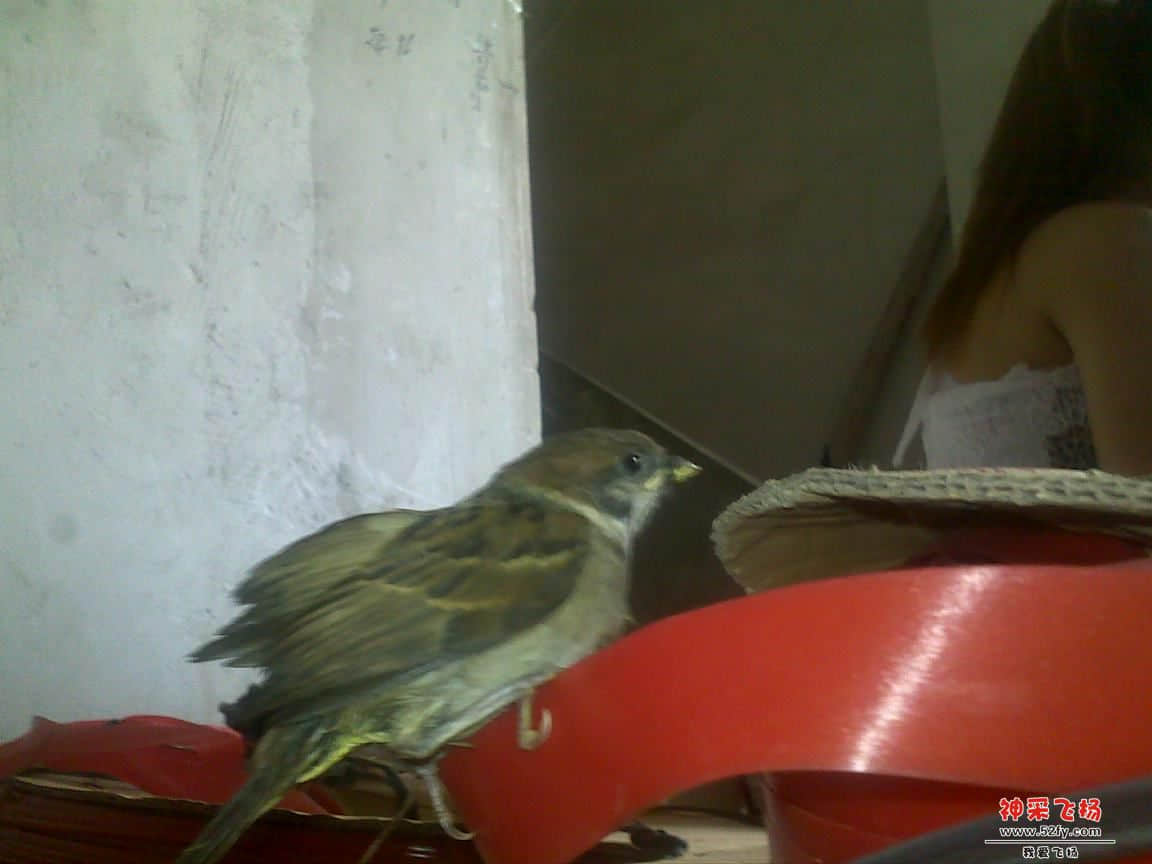 20120730305.jpg
