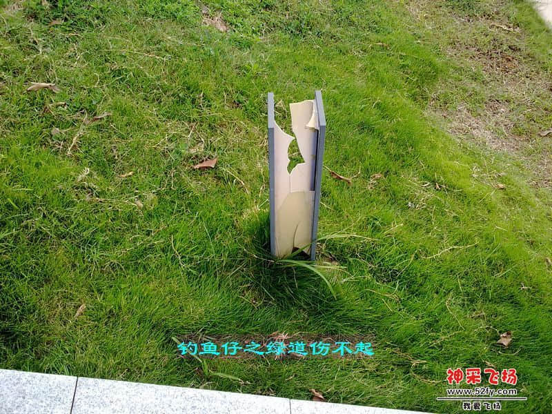 115742shfpxghpjqphaqpz.jpg