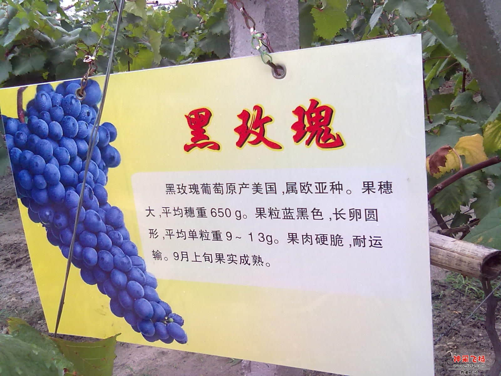 20120722327.jpg