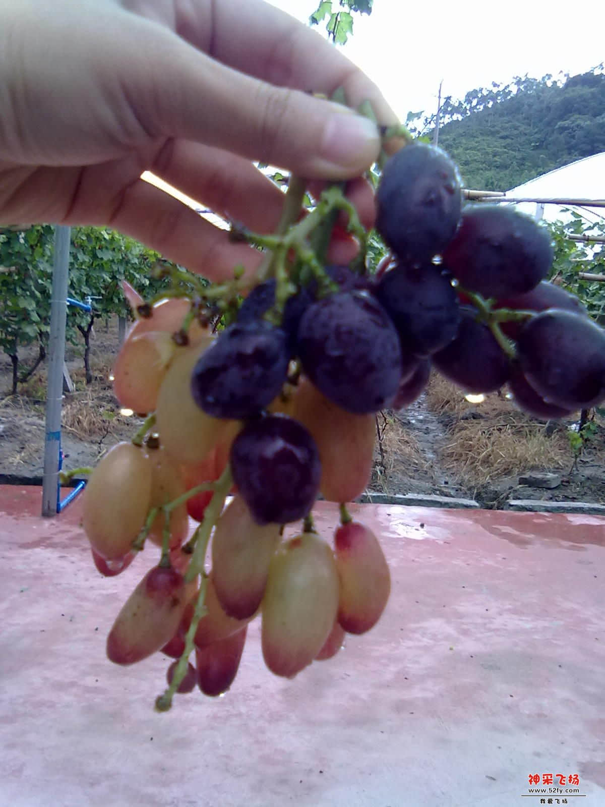 20120722337.jpg