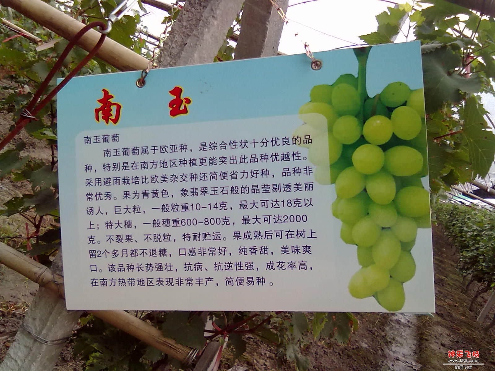 20120722338.jpg