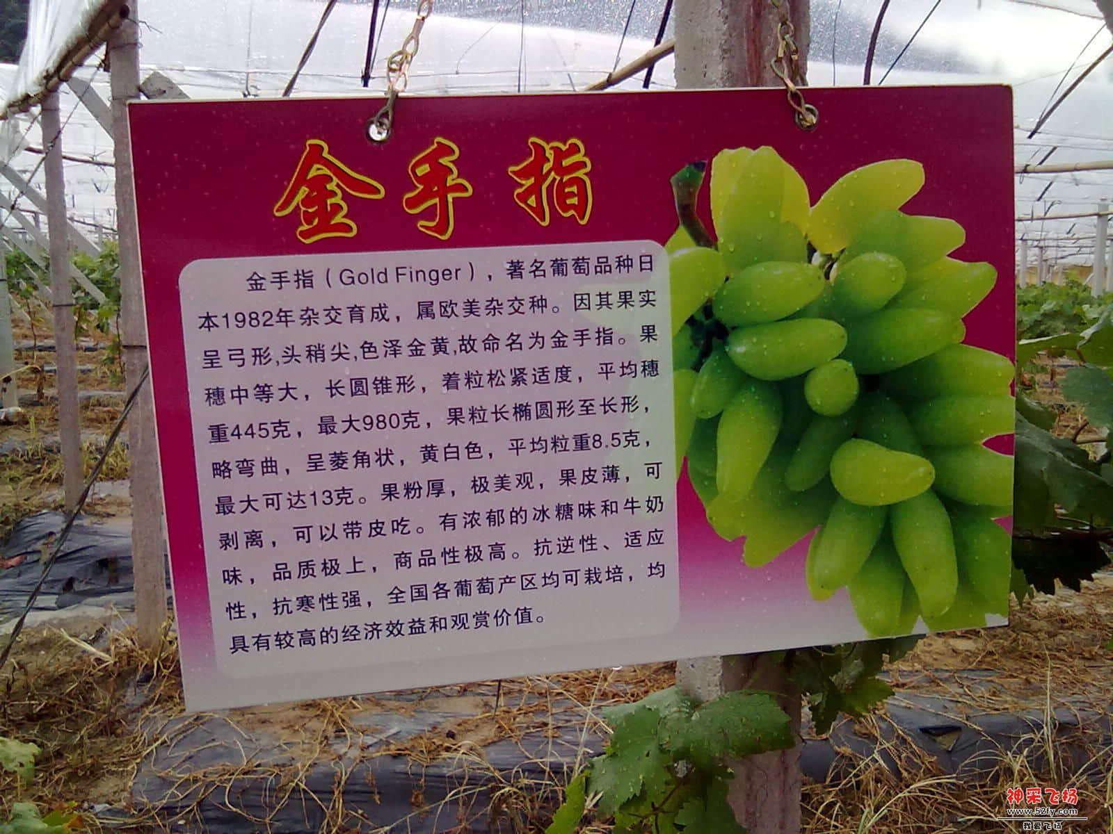 20120722340.jpg