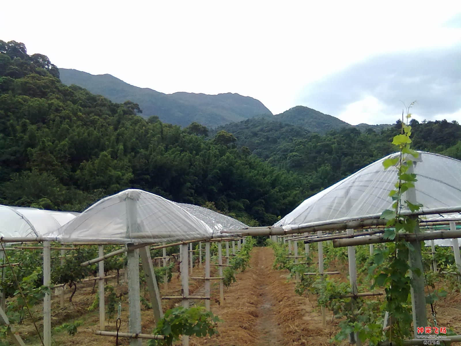 20120722342.jpg