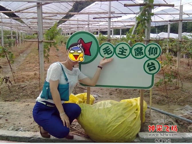 未命名.JPG