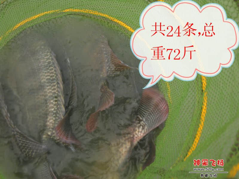 IMG_1603_副本.jpg