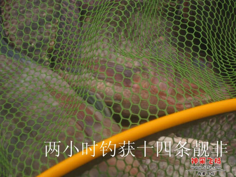 IMG_1605_副本.jpg