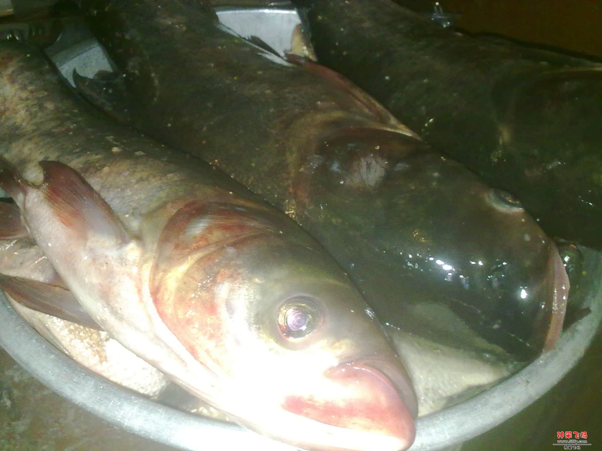 20120804071.jpg