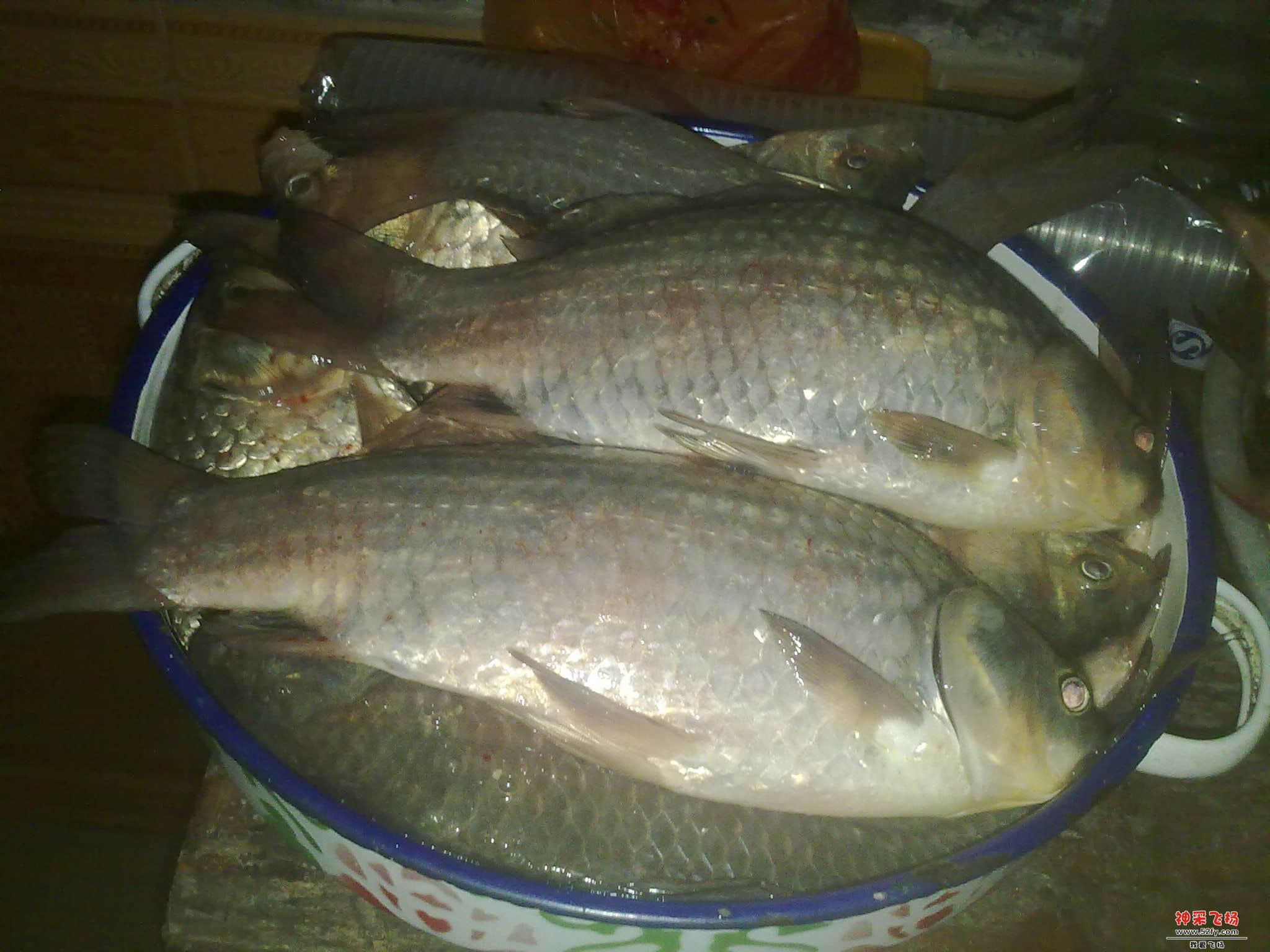 20120804072.jpg