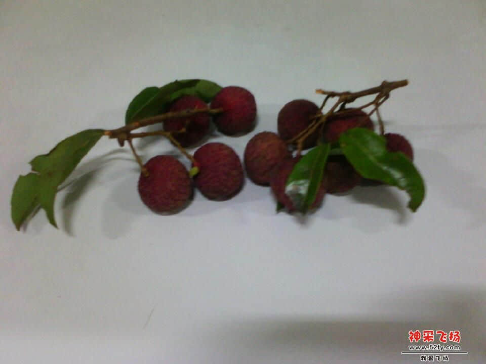 IMG_20120731_140548.jpg