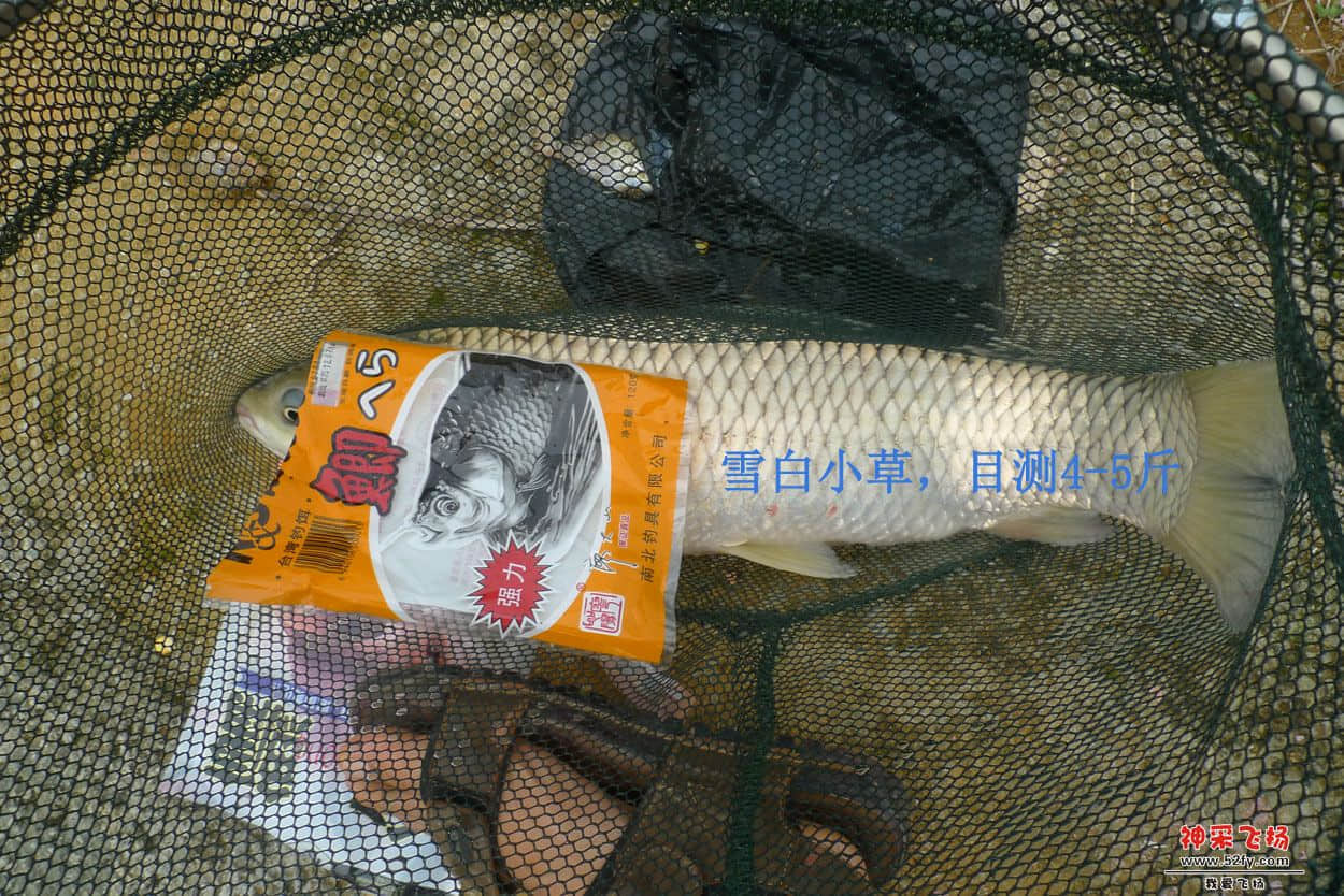 15副本.jpg