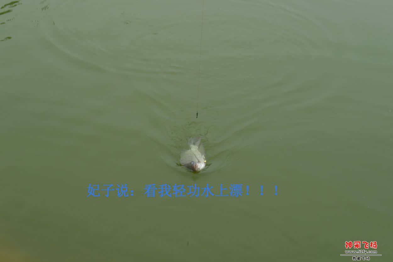 09副本.jpg