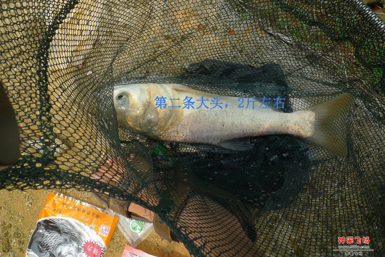 05副本.jpg