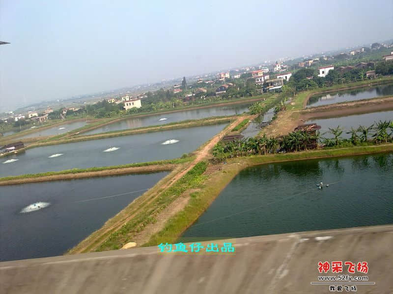 nEO_IMG_201208011845.jpg