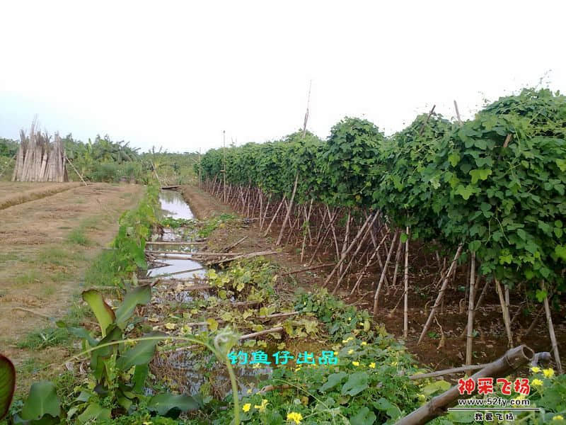 nEO_IMG_201208141973.jpg
