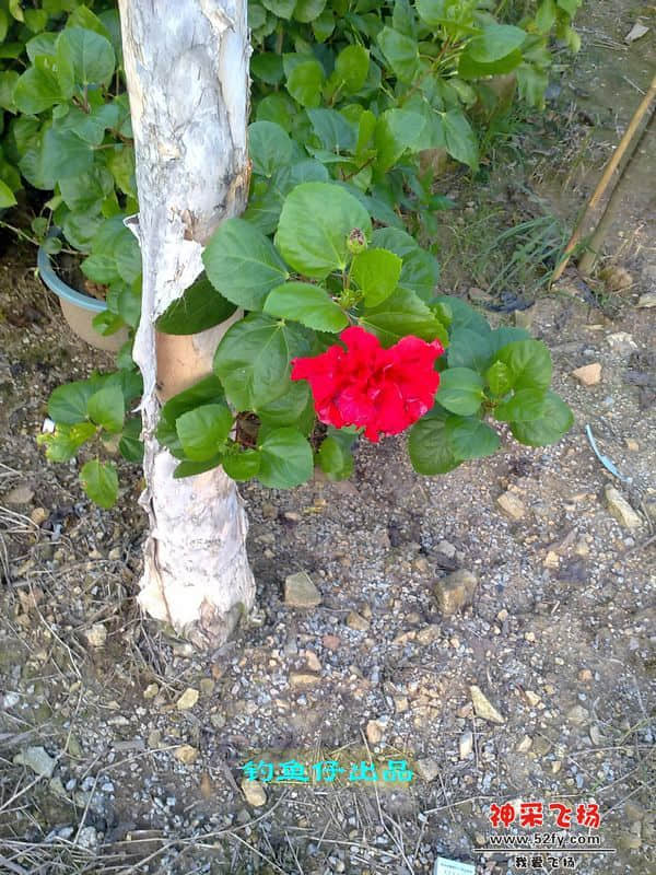 nEO_IMG_201208141974.jpg
