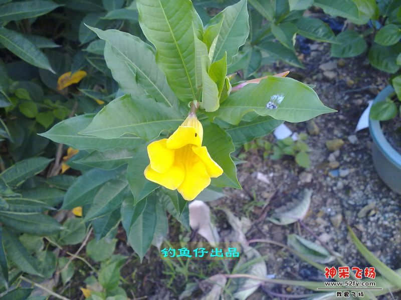 nEO_IMG_201208141977.jpg