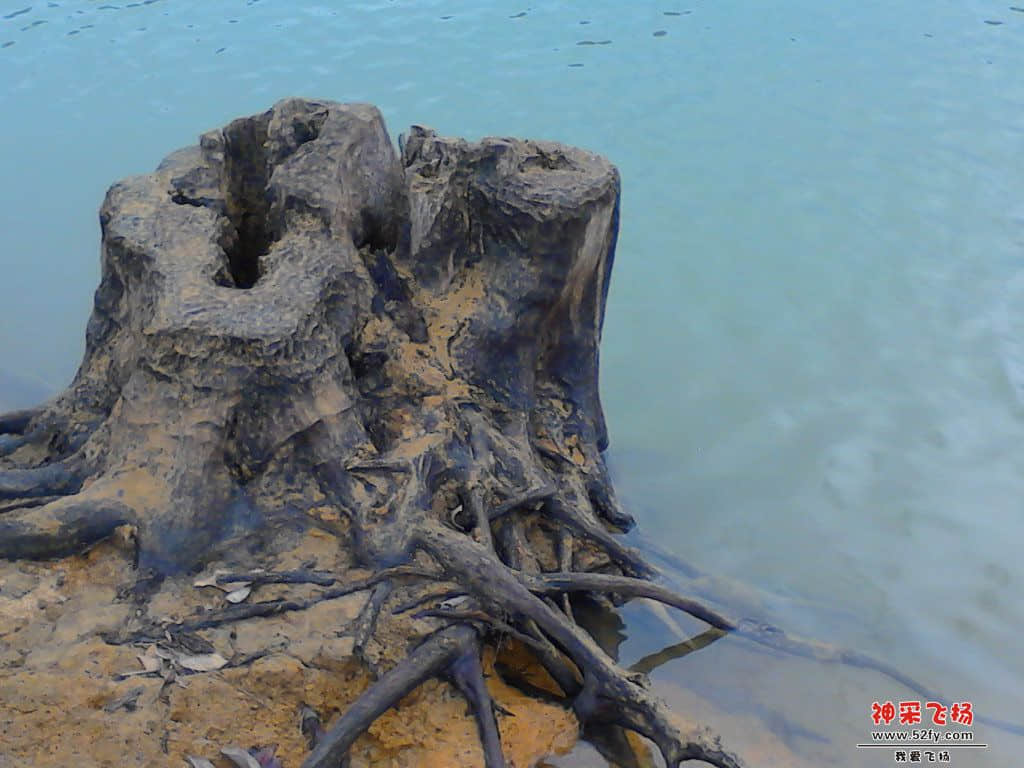 IMG_20120817_175101.jpg