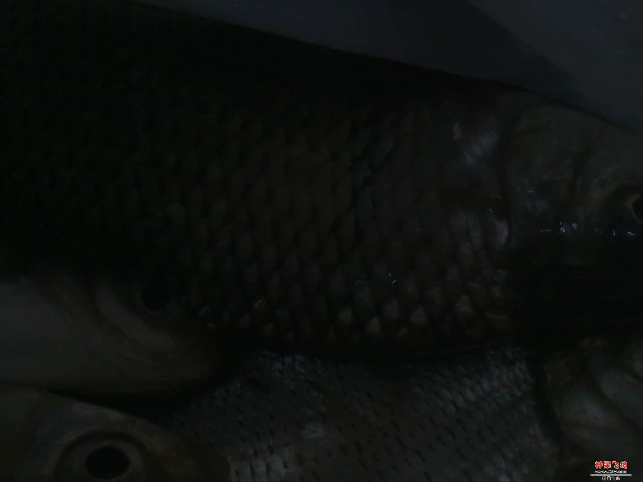 20120819077.jpg