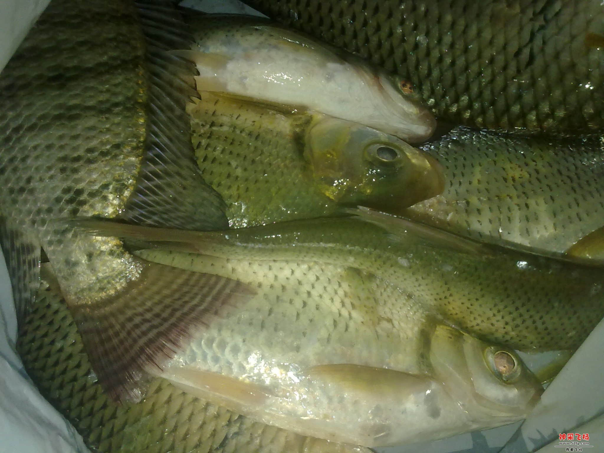 20120819078.jpg