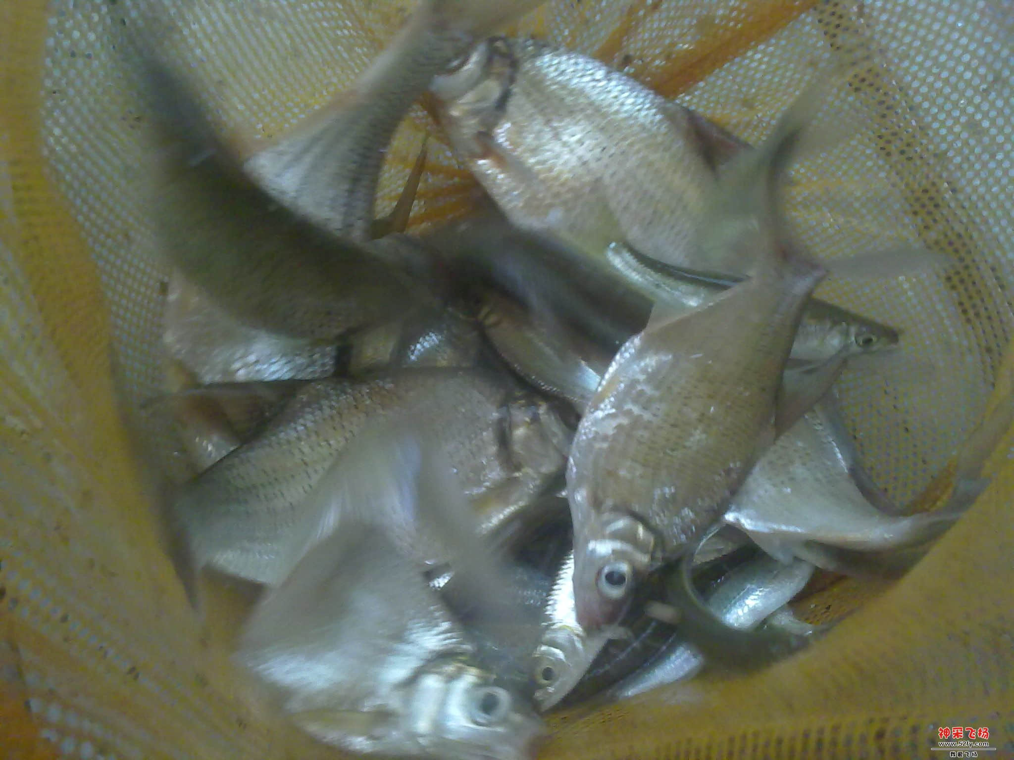 20120819080.jpg