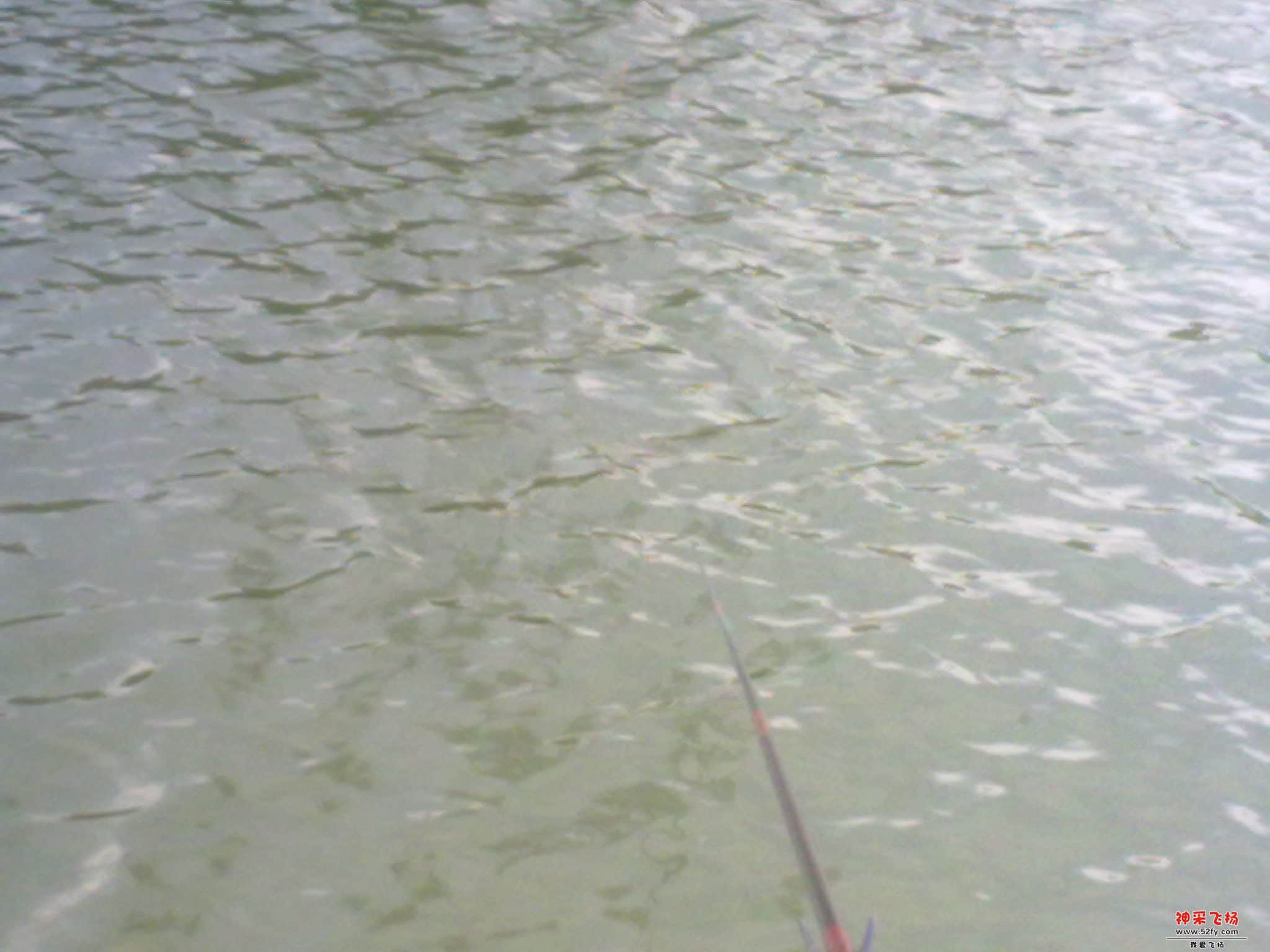 20120823085.jpg