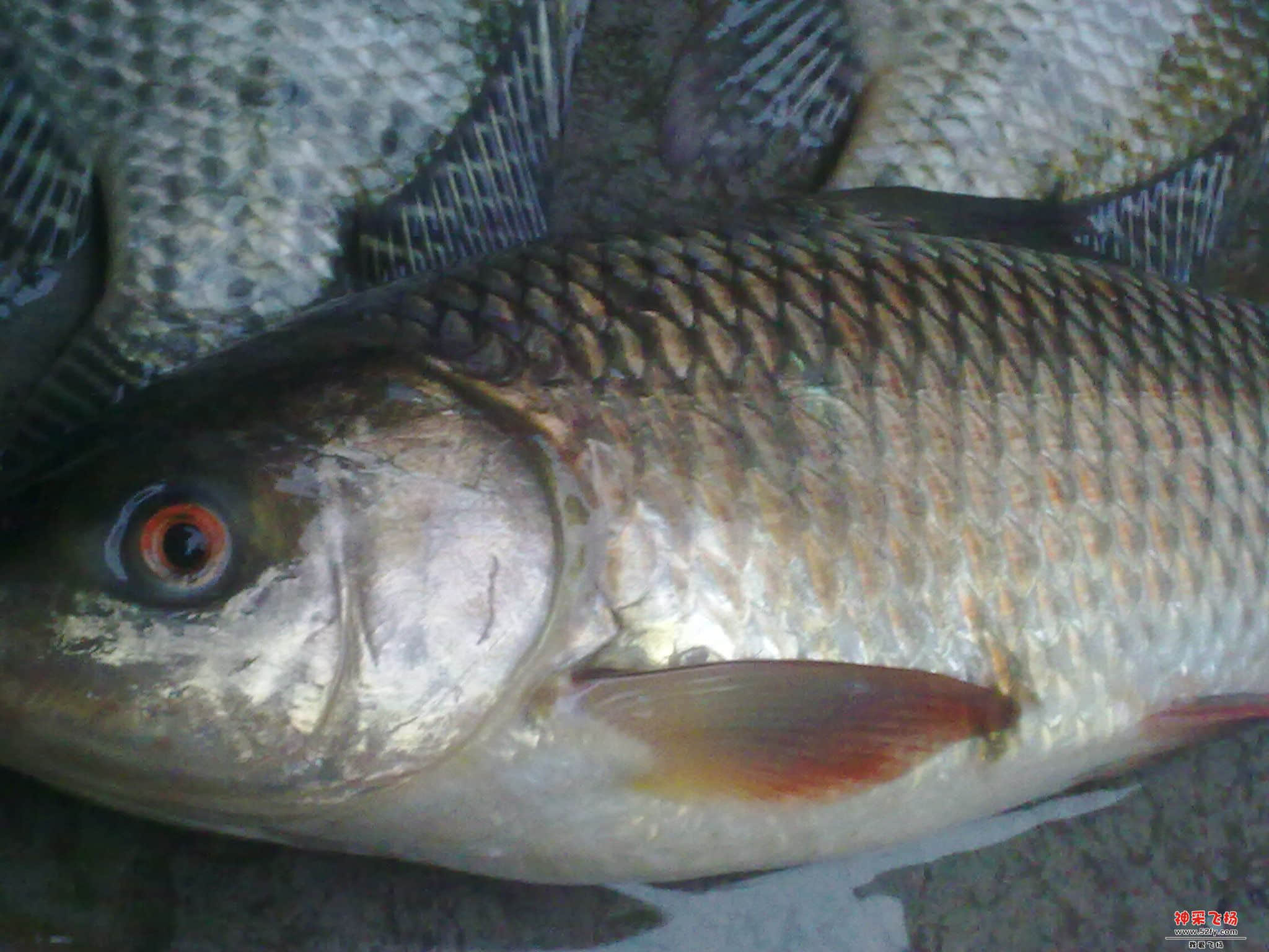 20120823086.jpg